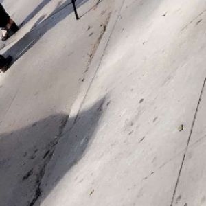 Meet your Posher, Laila